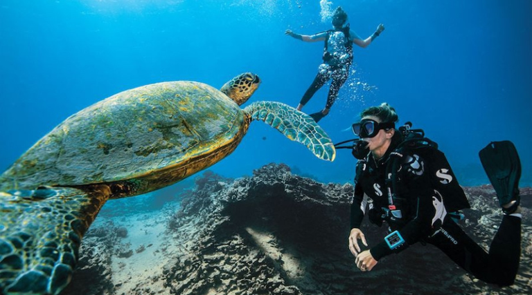 7 Best Places to Scuba Dive in the U.S.