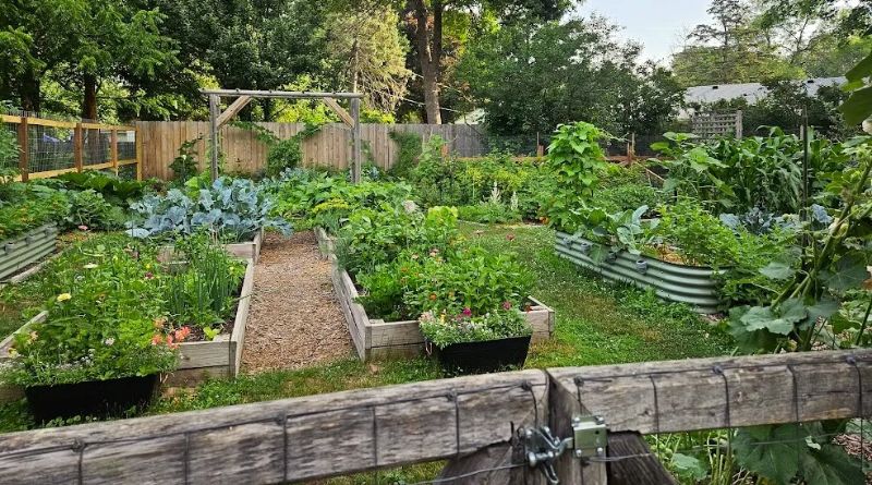 7 Herb Garden Layout Ideas