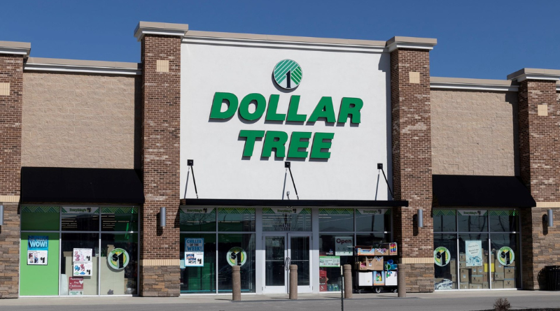 8 Best New Arrivals At Dollar Tree For Your Money In June