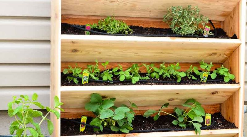 9 DIY Vertical Gardens for Better Herbs