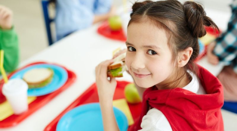 Lunchbox ideas for kids How to innovate for fussy eaters