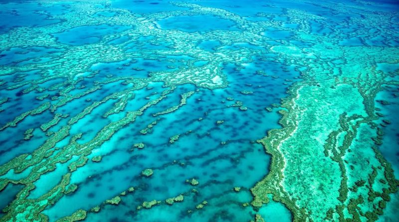 8 Incredible Facts About the Great Barrier Reef
