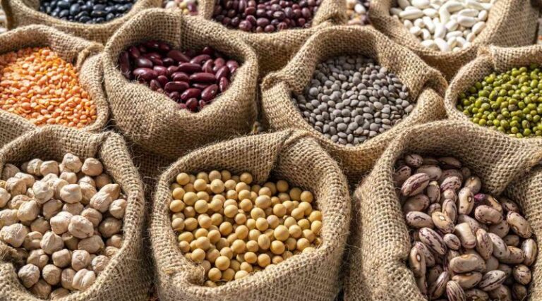 The 7 Healthiest Beans to Eat, According to Dietitians